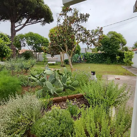 Eco Mini House آنسيو