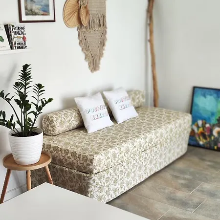 Eco Mini House